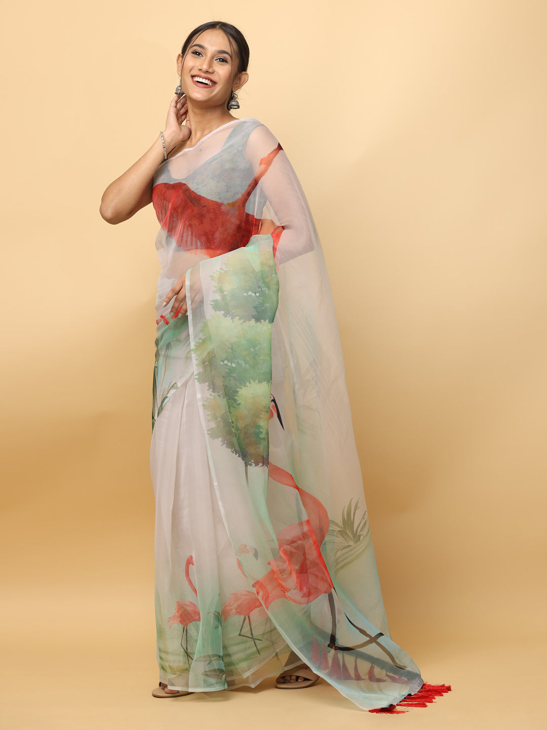 Model wearing organza saree with colorful digital print