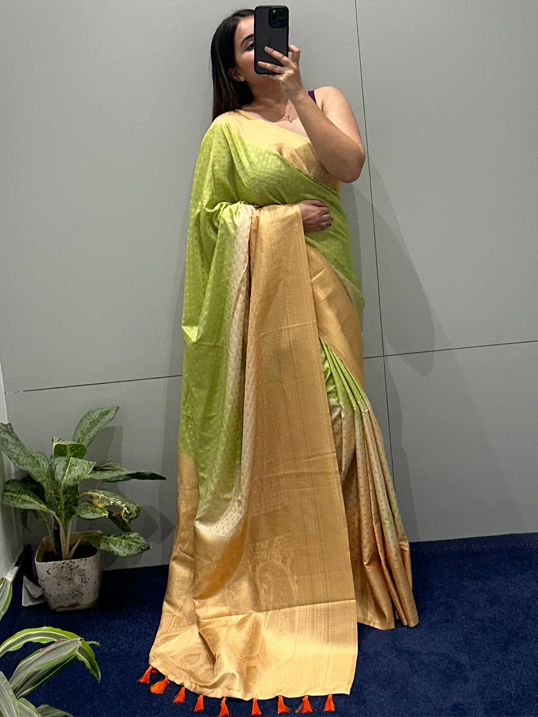 Model showcasing Soft Silk Banarasi Saree indoors