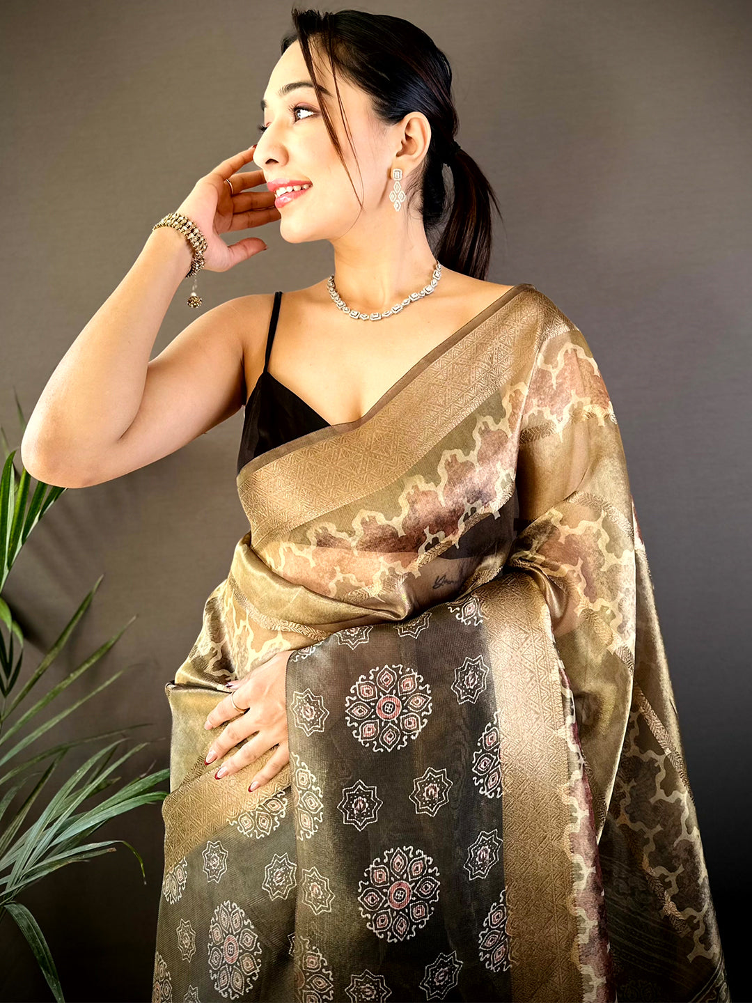 Light Chikku Tissue Striped Digital Printed Saree