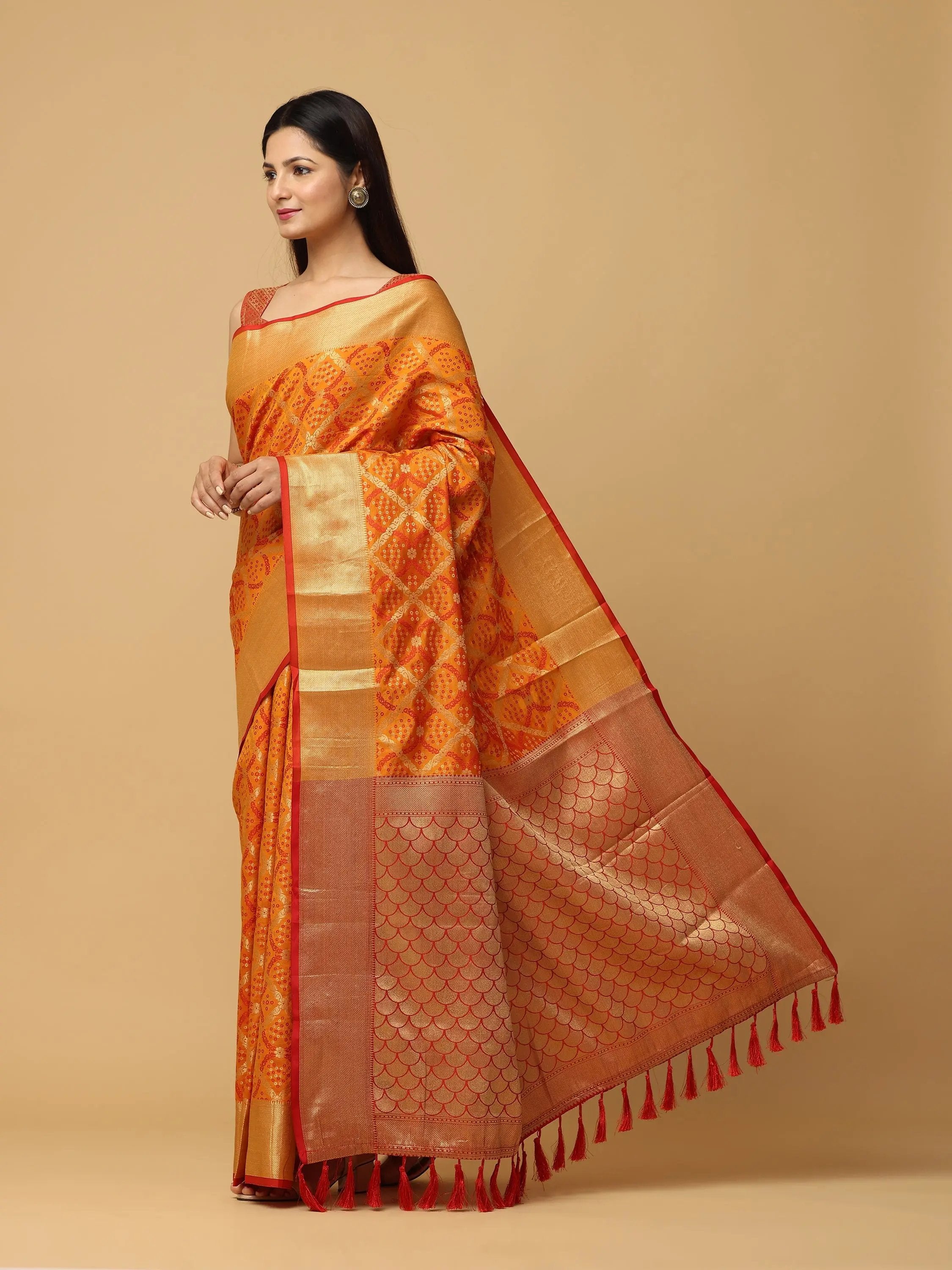 Soft Banarasi Patola Zari Saree for Party 